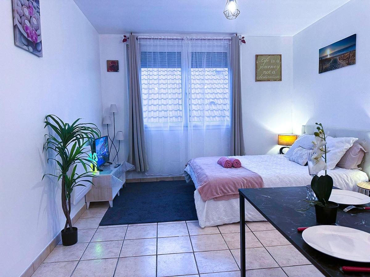 Appartement L'Elegant à Belfort Extérieur photo